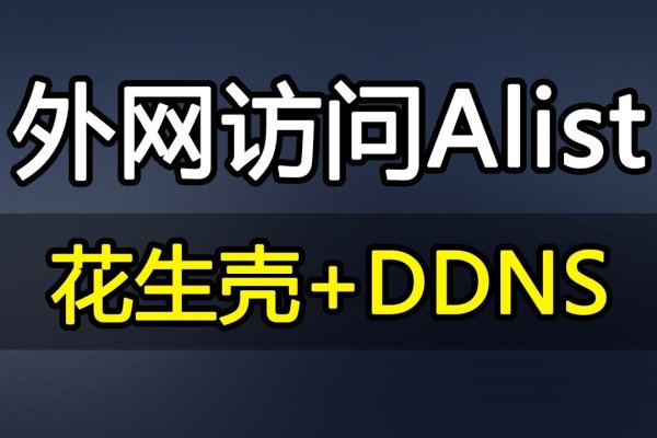 永久免费域名注册攻略，花生壳平台与闪臣IP代理优惠推荐-猫山树