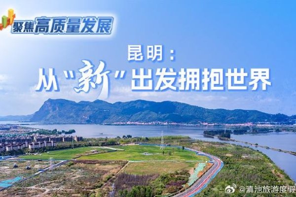 云南省建站，探索与发展的新篇章-猫山树
