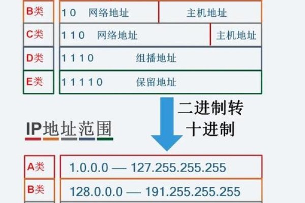 子域名与服务器IP地址的关联解析-猫山树