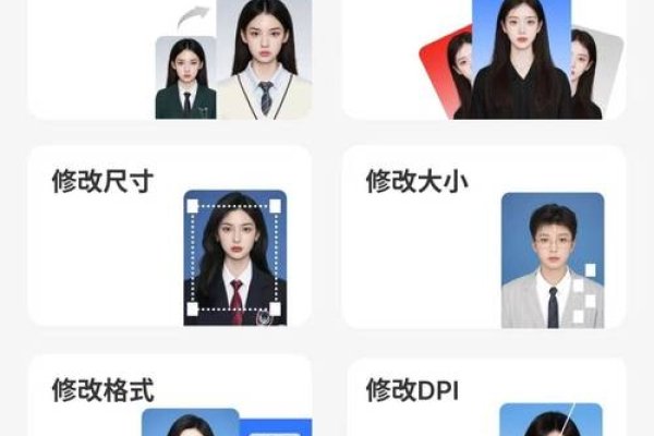 证件照制作免费版软件推荐-猫山树
