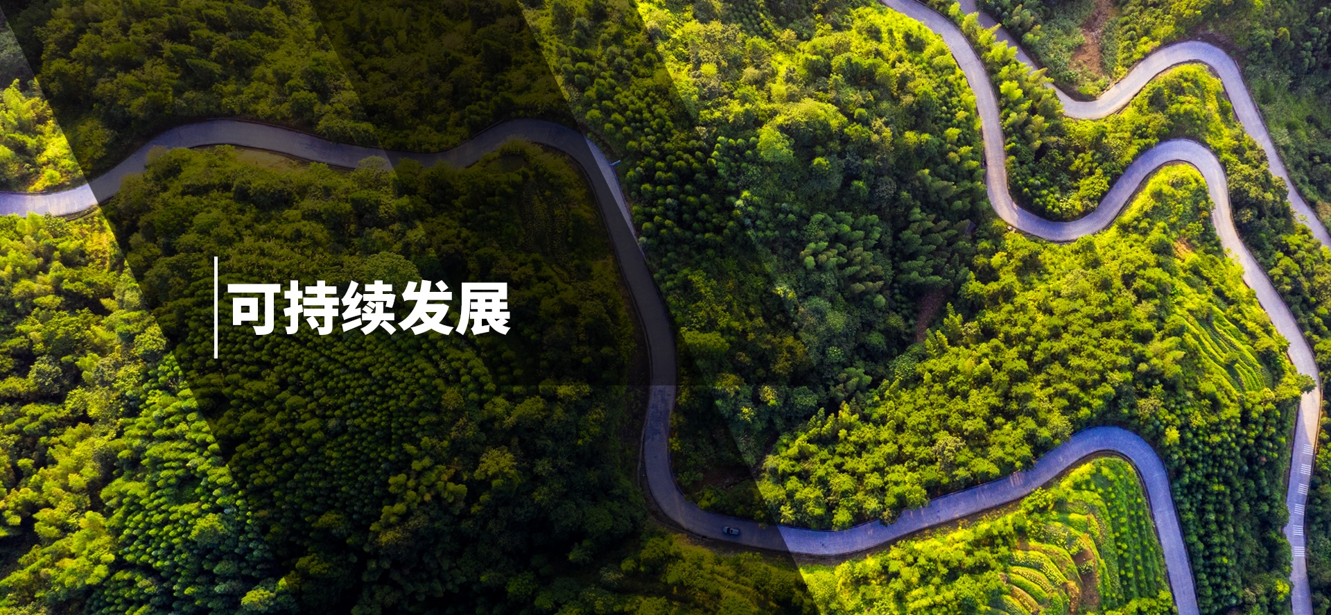 开发网站的意义，环境与可持续发展的双重助力插图