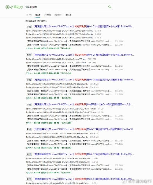 磁力搜索引擎排行及免费影视资源介绍插图 磁力搜索引擎排行及免费影视资源介绍插图