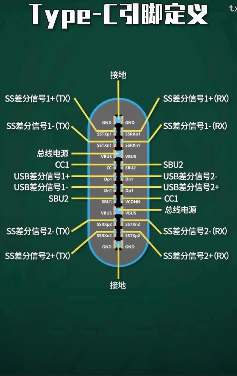 Type属性类型详解插图