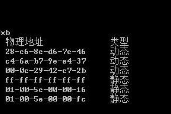 本机IP无法Ping通的困扰与解决方案-新乐天