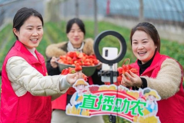 草莓直播，探索新一代直播娱乐的新领域-新乐天