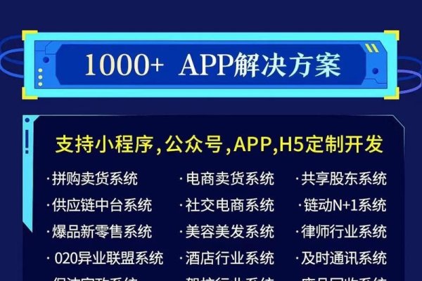 电商小程序开发机构及排名解析，专业定制，高效服务-新乐天