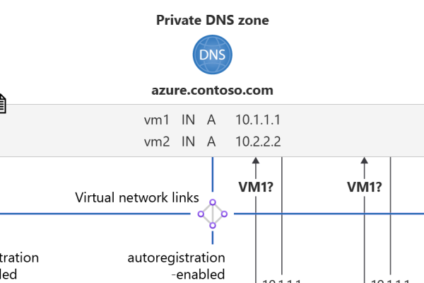 公共私人DNS,解析网络新篇章-新乐天