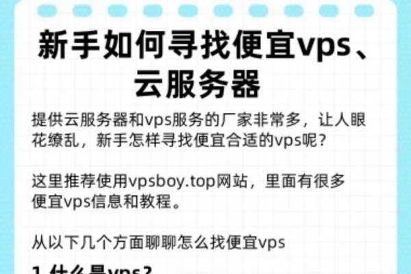 国外主流云服务器VPS新手入门选择指南-新乐天