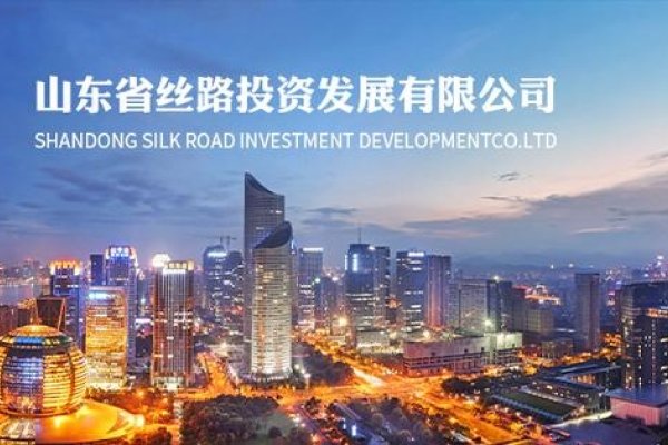 济南高端网站制作公司，塑造现代企业形象的新力量-新乐天