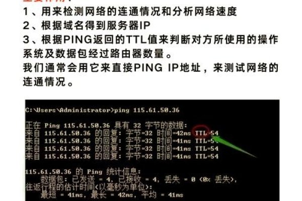 建议，域名解析速度测试与Ping命令详解-新乐天
