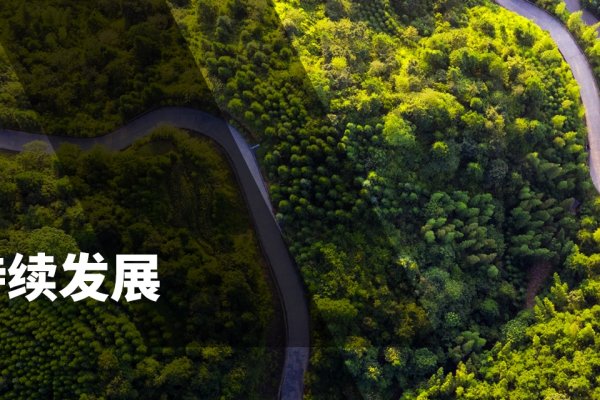 开发网站的意义，环境与可持续发展的双重助力-新乐天