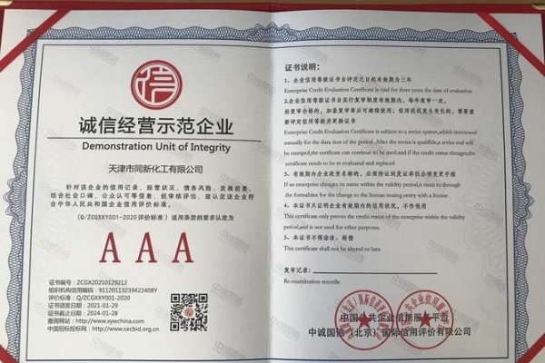 天津高端网站建设诚信企业介绍-新乐天
