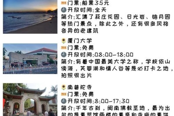 厦门网站制作案例解析-新乐天