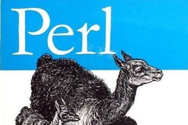 Perl教程下载指南-新乐天