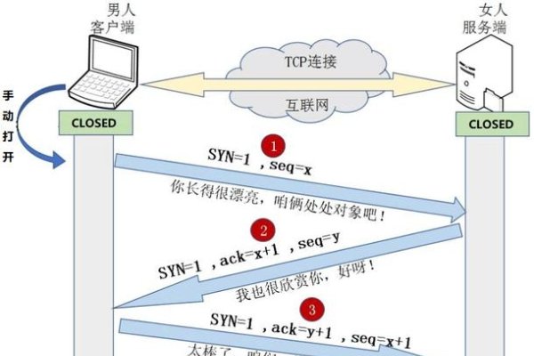 Socket编程与UDP，深入理解与应用-新乐天