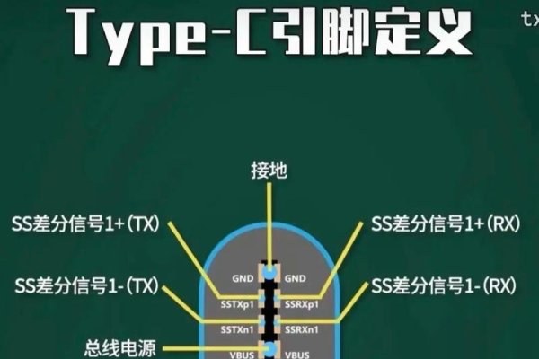 Type属性类型详解-新乐天